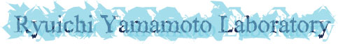 Welcome to Ryuichi YAMAMOTO's HOME PAGE